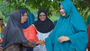 Peduli Korban Banjir, Ketua TP PKK Luwu Salurkan Bantuan di Dua Kecamatan