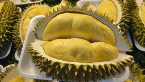 Kontes Buah Durian Warnai Event Pesona Luwu Utara, Masamba Affair Festival 2023