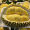 IMG 20230410 WA0028