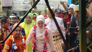 Bupati Lutra Resmikan Rumah Adat Kombong Pitu Masapi