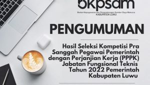Pengumuman Hasil Seleksi Kompetisi PPPK Pemkab Luwu Jabatan Fungsional Tahun 2022