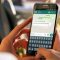 11666 whatsapp bagikan fitur status untuk informasi terbaru aplikasinya