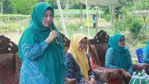 Sambut Tim SMEP PKK Provinsi, Hayarna : Evaluasi Bentuk Motivasi Peningkatan Kinerja