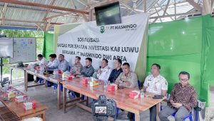 Pembebasan Lahan Kontrak Karya PT Masmindo, Target 1.400 Ha dari Total Luas 14.390 Ha