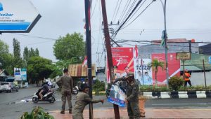Satpol PP Luwu Tertibkan APS dan APK yang Terpasang di Tanaman Penghijau