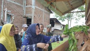 Ketua TP-PKK Luwu Serahkan Bantuan Program Percepatan Penghapusan Kemiskinan Ekstrim