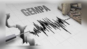 Gempa Bumi Guncang Luwu Timur