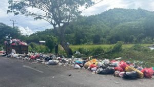 Bidang Persampahan DLH Luwu Biarkan Sampah Menumpuk di Tepi Jalan, Warga Mulai Mengeluh