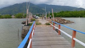 DPMD Luwu Bantah Berikan Izin Untuk Reklamasi Pantai Di Desa Toddopuli, Kecamatan Bua