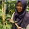 Co-Founder Garis Kebun, Diah Nurmalasari