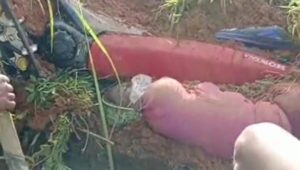 Bastem Utara Longsor, 1 Orang Ditemukan Meninggal Dunia