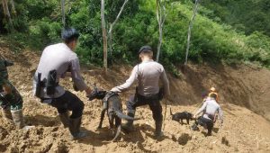 Hari Ketiga Pasca Longsor di Bastem Utara, K9 Polda Sulsel Diturunkan, Korban Bertambah Jadi 23 orang dari Jumlah Sebelumnya