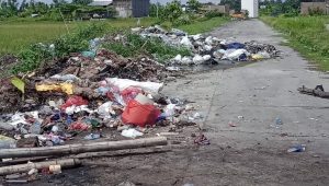 DLH dan Dinas PUTR Luwu Kolaborasi Bersihkan Tumpukan Sampah