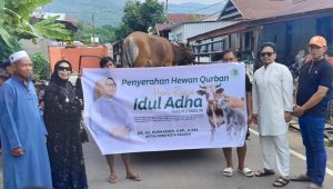 Hj Nurhaenih Serahkan Hewan Kurban di 4 Kecamatan