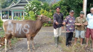 PT BMS Berbagi Daging Qurban ke Masjid di Kecamatan Bua