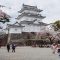 agen travel jepang