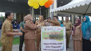 Wujudkan ‘Zero’ Stunting, Plt Kadis Pengendalian Penduduk dan Keluarga Berencana Gagas Aksi Perubahan ‘Mimpi Indah di Luwu’