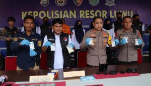 Nekat Jadi Kurir Sabu, IRT di Luwu Terancam 20 Tahun Penjara, Polisi Sita 249 Gram Sabu Dari Tangan Pelaku