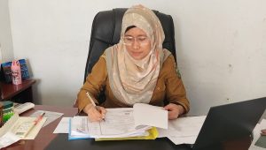 BKPSDM Luwu Akan Segera Buka Seleksi PPPK Tahun 2024, Kuota 944 Formasi Prioritas Non ASN