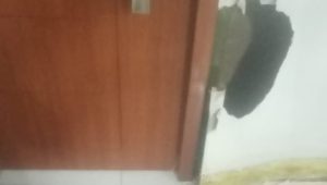 Kantor Dinas Pariwisata dan Kebudayaan Luwu Dibobol Maling