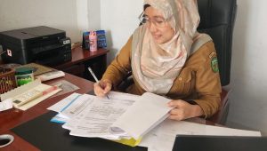 Segera Submit! Pendaftaran Seleksi CPNS Tahun 2024 Lingkup Pemkab Luwu Segera Ditutup