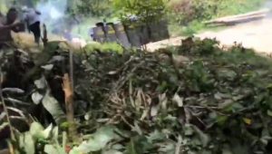 Aksi Protes Warga di Site Awak Masmindo Dibalas Tindakan Represif Dari Aparat Keamanan
