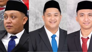 PROFIL : 3 Anggota DPRD Palopo Partai NasDem Ini Belum Punya Pendamping. Ada yang Minat ?