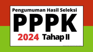 Tenaga Honorer Tolak Pengumuman Seleksi PPPK Tahap II, Ada Peserta tidak Terdata di SINONA BKPSDM Luwu Namun Ikut Tes dan Lulus Seleksi