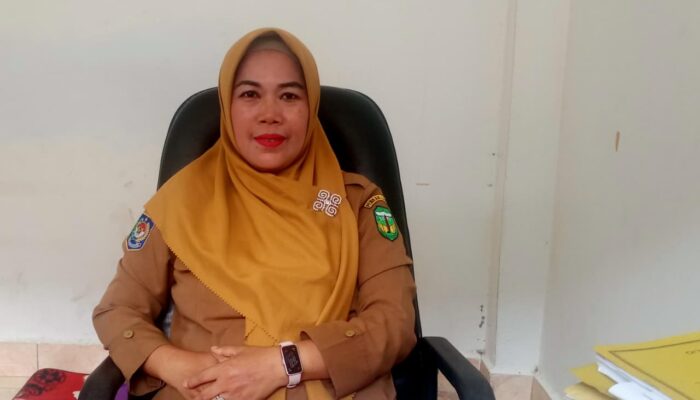 Rencana Skema Merger Pemkab Luwu, Dua OPD Baru akan Dibentuk, Lima Digabung, dan Satu OPD Berganti Nama