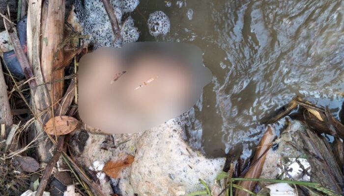 Sempat Dilaporkan Hilang, Balita Umur 2 Tahun di Desa Tabbaja Luwu Ditemukan Meninggal Dunia di Saluran Irigasi
