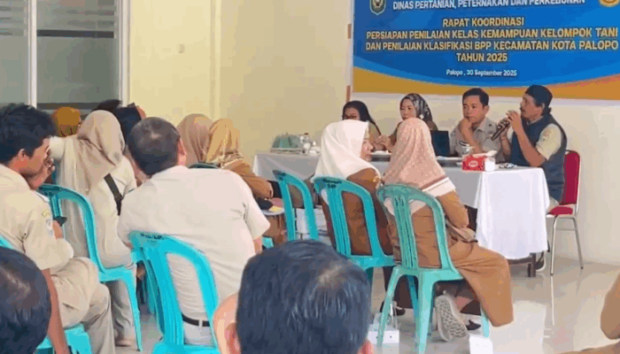 Dispertanakbun Palopo Gelar Rakor Bahas Penilaian Kelas Kemampuan Koptan