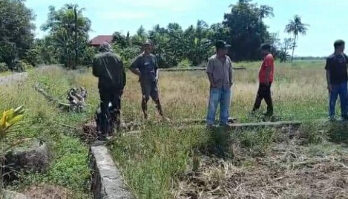 Terkendala Saluran Irigasi, Petani Sawah di Desa Cimpu, Suli sudah 2 Tahun tidak Produksi Padi