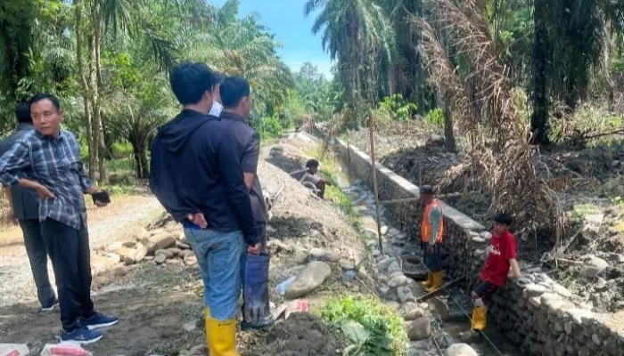 DPRD Luwu Utara Sidak Proyek Irigasi di Tanalili, Temukan Dugaan Pelanggaran SOP dan Minim Transparansi