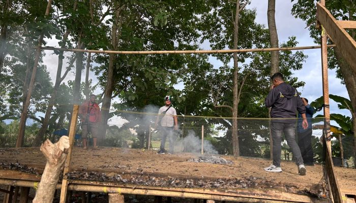 Sat Reskrim Polres Luwu Bongkar Dua Arena Sabung Ayam di Dua Lokasi Berbeda