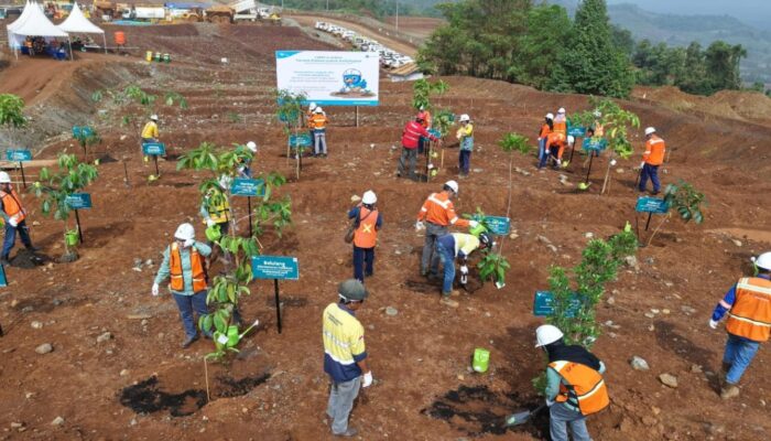 Pastikan Pertumbuhan Ekonomi Tanpa Mengorbankan Warisan Ekologis, PT Vale Tanam Pohon Serentak