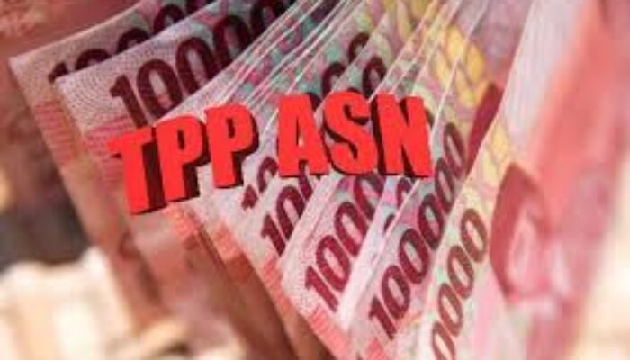 GU dan Dua Bulan TPP Pegawai Pemkab Luwu Belum Terbayarkan