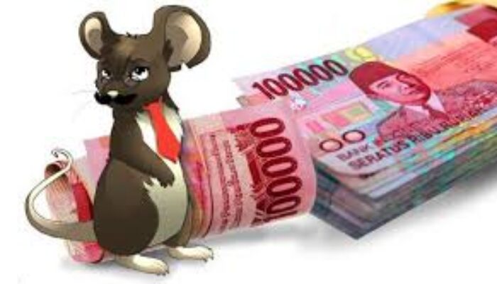 Basmi ‘Tikus’ Ala KPK, Sepanjang 2025 Lima Kelapa Daerah Terjaring OTT