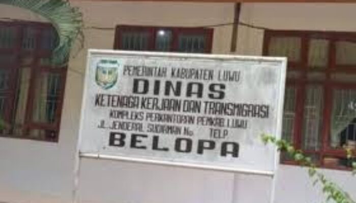 Perekrutan Tenaga Kerja Lokal kini Tidak Lagi Melibatkan Disnaker, Semua Proses Melalui Pokja Bentukan Bupati Luwu