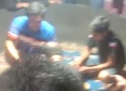 Belakang Islamic Center dan Kawasan Labombo di Palopo jadi Arena Judi Sabung Ayam Bangkok