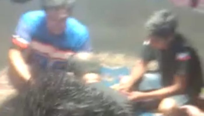 Belakang Islamic Center dan Kawasan Labombo di Palopo jadi Arena Judi Sabung Ayam Bangkok