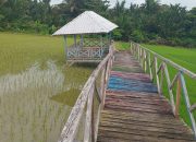 Dianggarkan Rp498 Juta Melalui APBDes, Warga Laporkan Kades Kurusumanga ke Kejaksaan Negeri Luwu