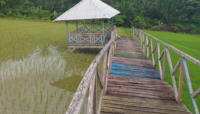 Dianggarkan Rp498 Juta Melalui APBDes, Warga Laporkan Kades Kurusumanga ke Kejaksaan Negeri Luwu