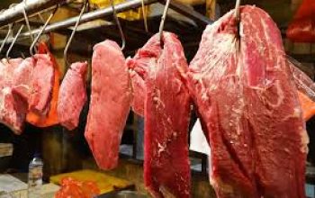Jaga Stabilitas Pangan Nasional, Pemerintah Pusat Tetapkan Harga Sapi Siap Potong Jelang Ramadhan dan Idulfitri 2026 7 5003ae00 0f78 4d3c b9ca 5230b81f0535