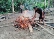 Arena Judi Sabung Ayam di Suli di Bongkar, di Walenrang Menelan Korban, Satu Orang Terluka dan Satu Orang Meninggal Dunia