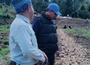 Komitmen Nyata Bupati Luwu Utara, Manfaatkan Akhir Pekan ke Pertanian Kentang Warga di Kecamatan Rongkong