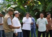 Ahmad Gazali: “997 Hektare Sawah Segera Dialiri Air, 448 Hektare Lahan di Kabupaten Luwu Masuk Dalam Program Cetak Persawahan”