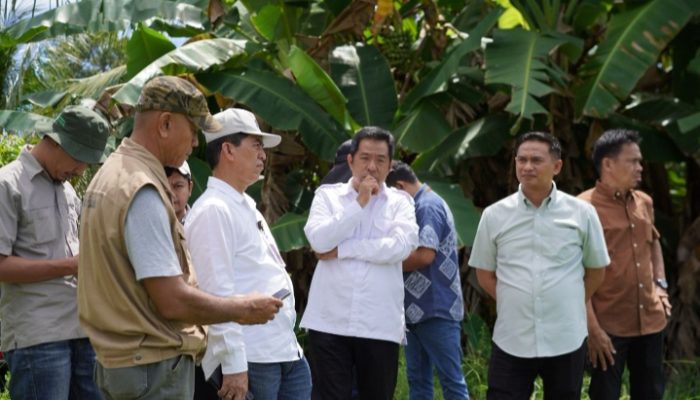 Ahmad Gazali: “997 Hektare Sawah Segera Dialiri Air, 448 Hektare Lahan di Kabupaten Luwu Masuk Dalam Program Cetak Persawahan”
