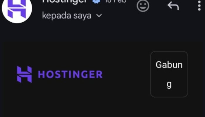 Diskominfo Luwu Kecolongan, Satu Portal Web yang Offline Lolos Verifikasi Jalin Kontrak Kerja Sama