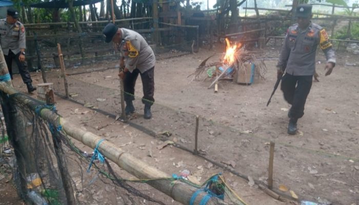 Jajaran Polres Luwu Lakukan Penertiban Arena Judi Sabung Ayam di Kecamatan Bupon dan Lamasi