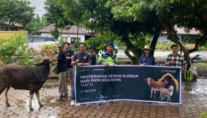 Hari Raya Iduladha, MDA Salurkan 34 Hewan Kurban yang Menjangkau 21 Desa di Wilayah Operasional